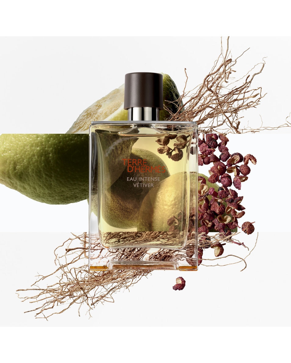 HERMÈS TERRE D'HERMÈS EAU INTENSE VÉTIVER EAU DE PARFUM 100 ML 3