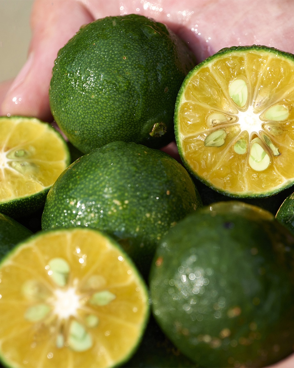 SHIKULIME Color Control Oil-Free Moisturizer SPF30