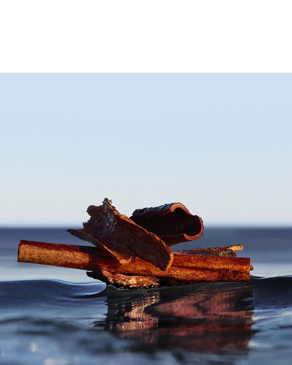 EAU DE PARFUM NATURAL SPRAY