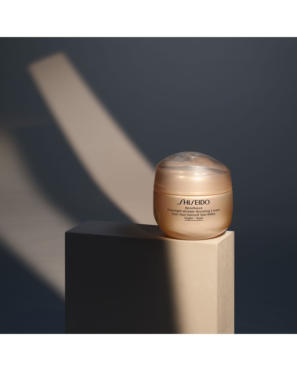 OVERNIGHT WRINKLE RESISTING CREAM