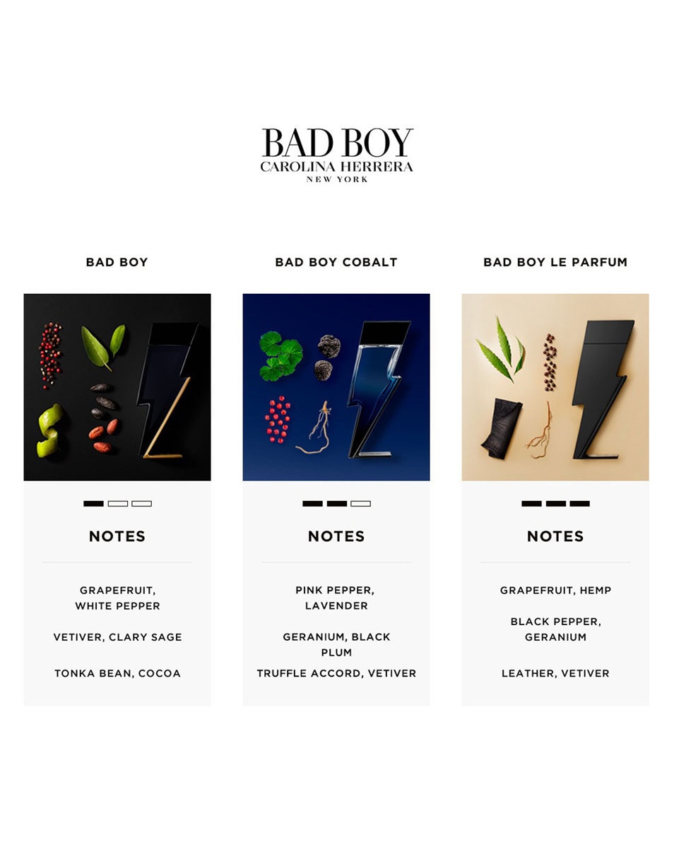 CAROLINA HERRERA BAD BOY EAU DE TOILETTE 100 ML 4