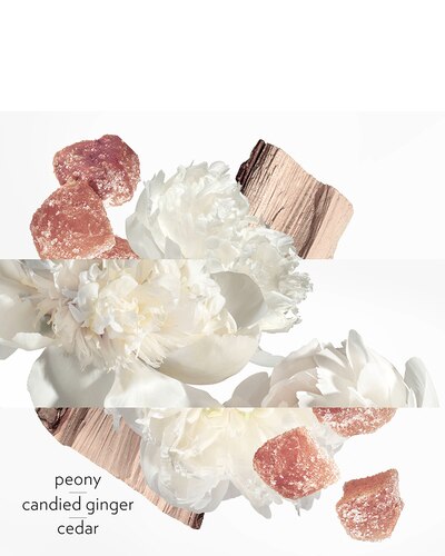 HERMÈS Twilly d'Hermès Eau Ginger Eau de Parfum 85 ML