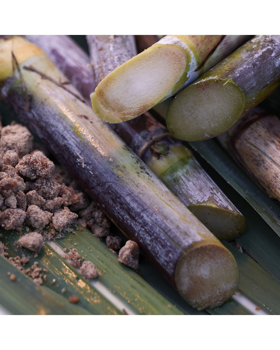 SATOCANE MASQUE PURIFIANT - SOS PORES