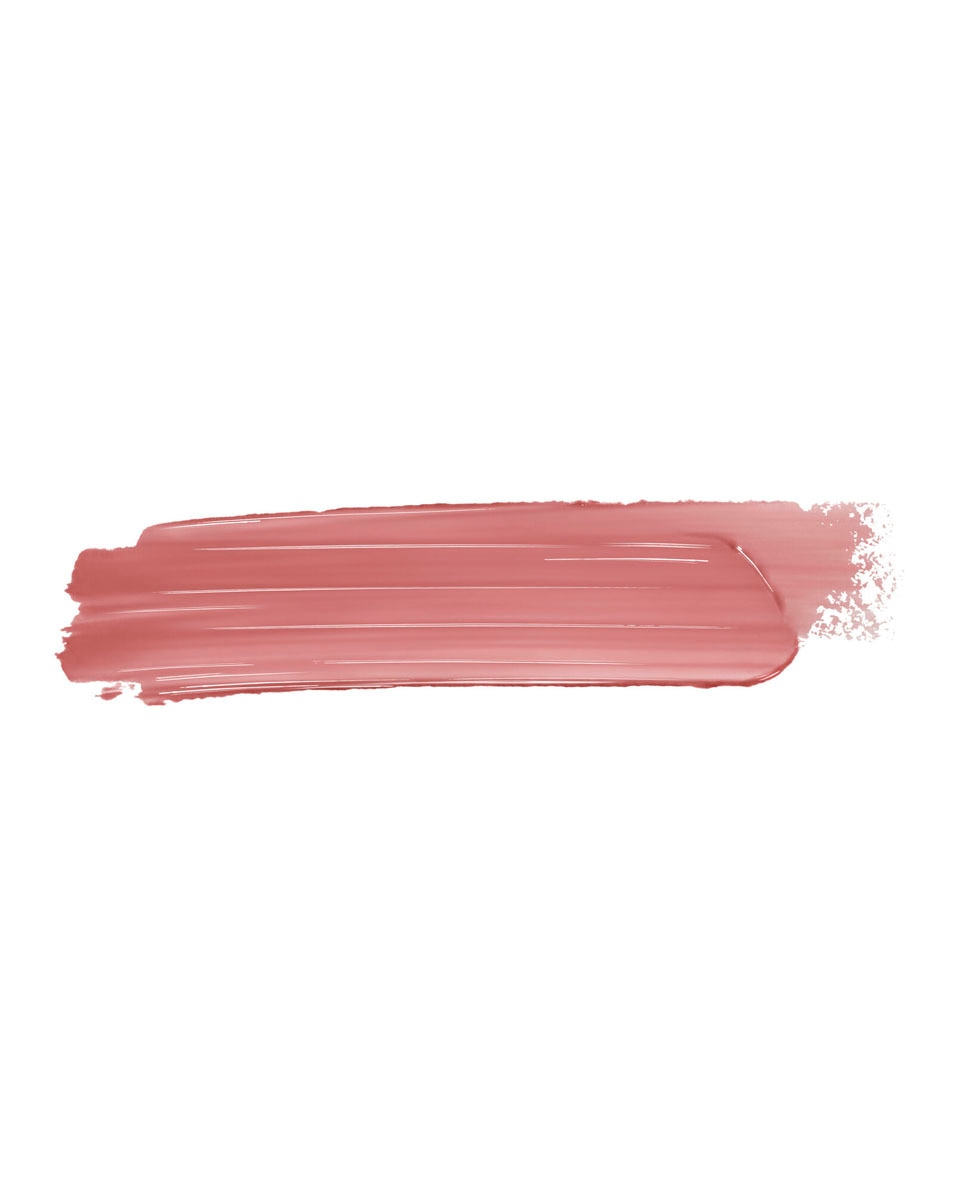 DIOR DIOR ADDICT HYDRATERENDE GLANZENDE LIPSTICK 422 Rose des Vents 4