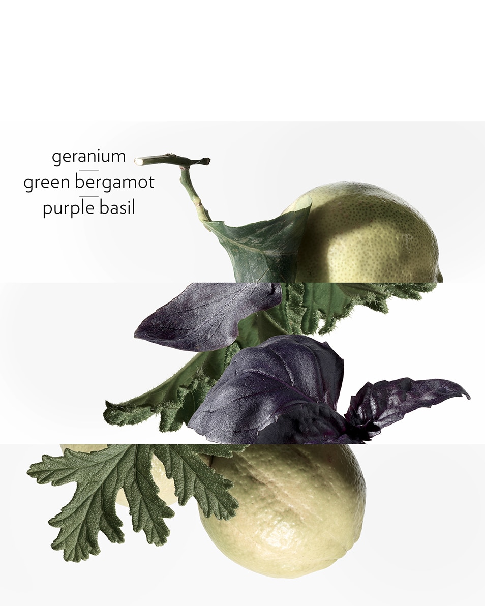 HERMÈS EAU DE BASILIC POURPRE EAU DE COLOGNE 100 ML 4