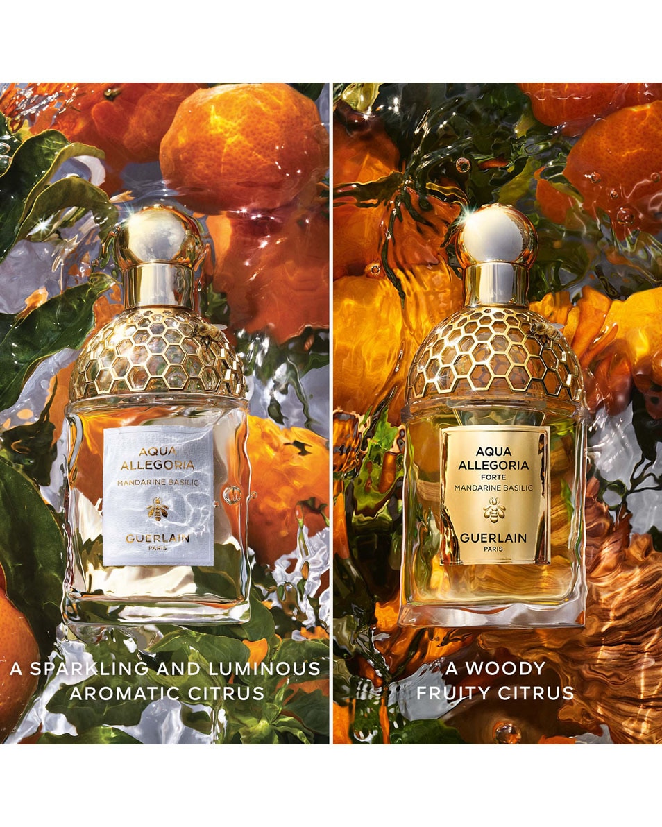 GUERLAIN AQUA ALLEGORIA MANDARINE BASILIC FORTE - EAU DE PARFUM 125 ML 4