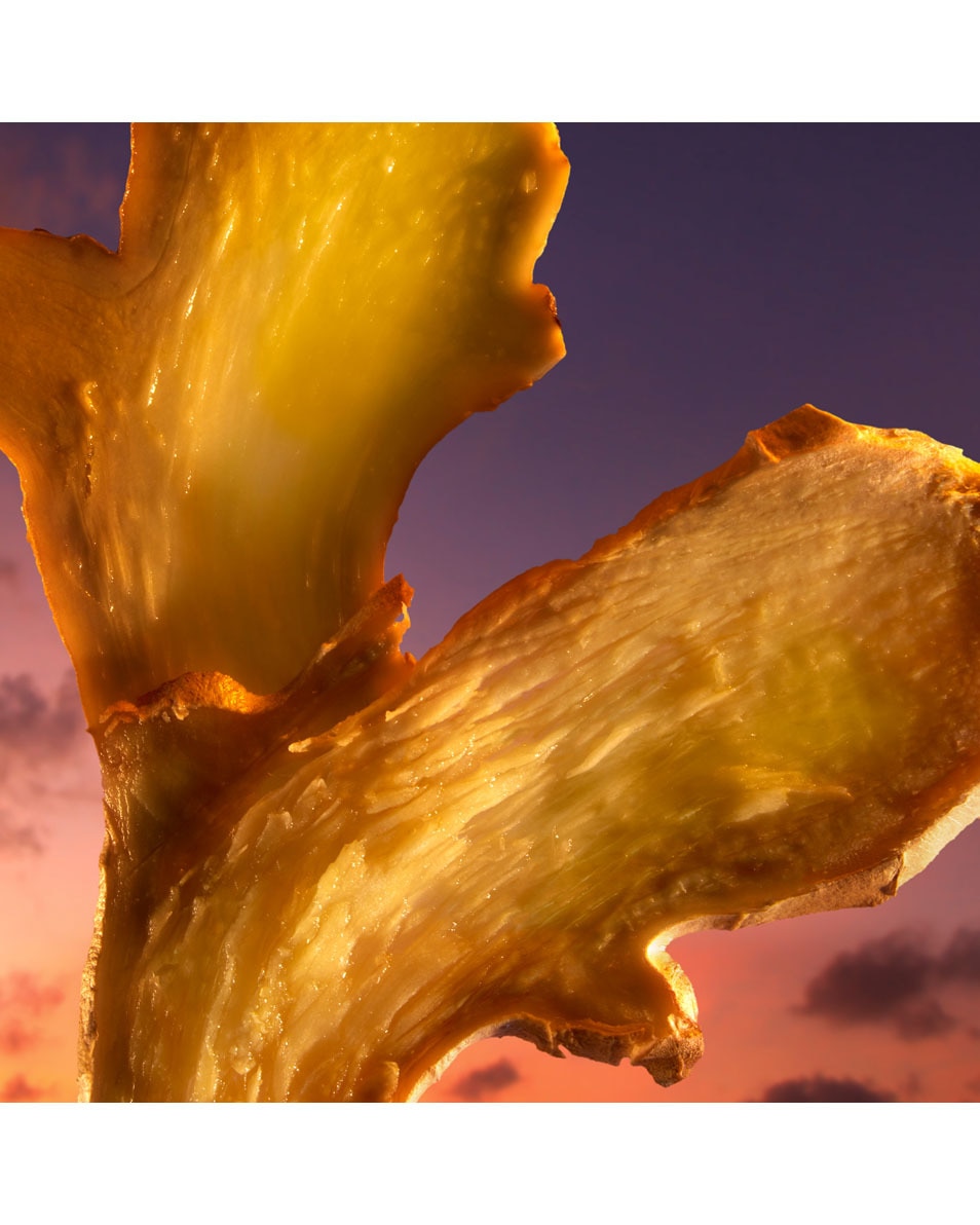 Parfum Intense pour Hommes