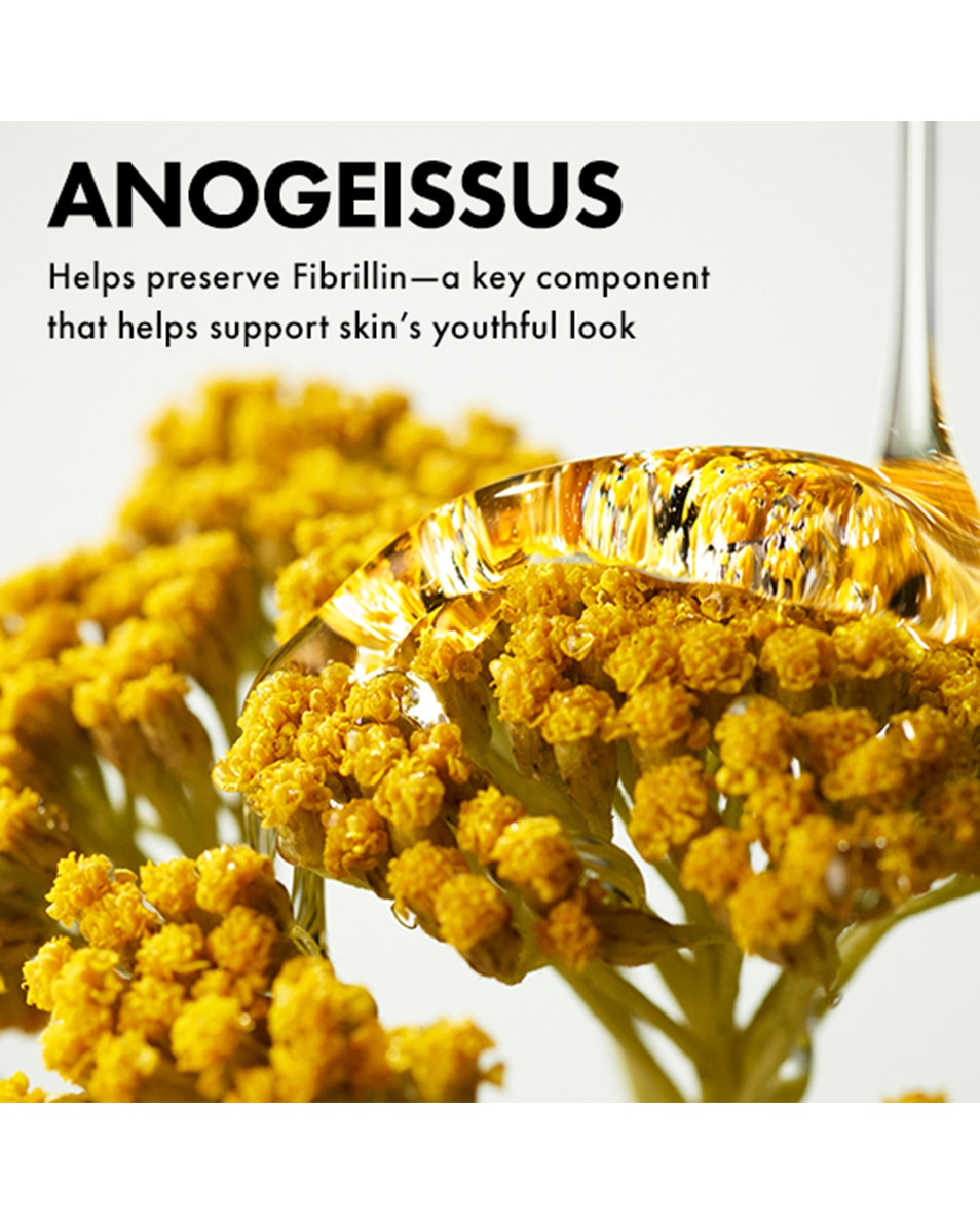 CRÈME YEUX CORRECTION RIDES CONTIENT RÉTINOL ENCAPSULÉ