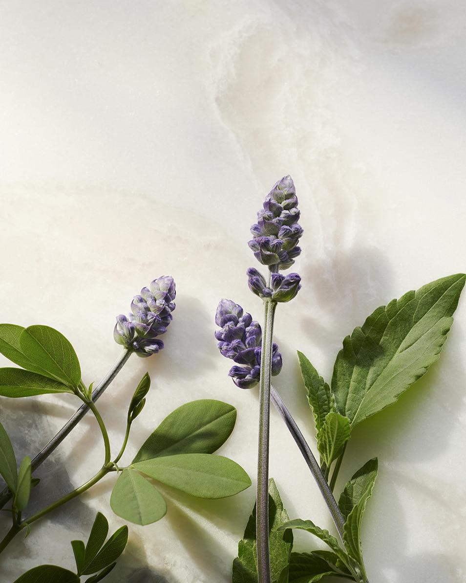 SÉRUM ÉCLAT ANTI-ÂGE