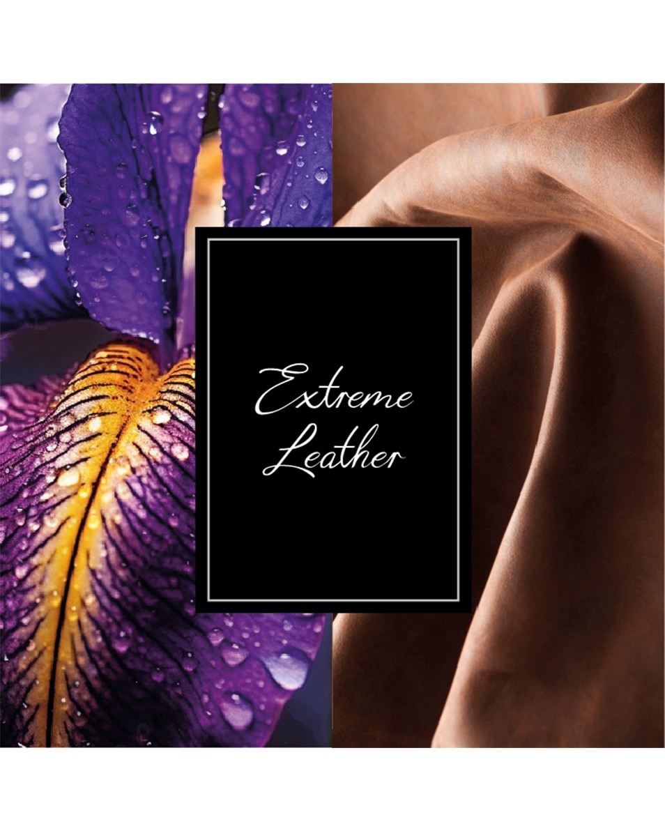 MONTBLANC Collection Extreme Leather Eau de parfum 125 ML 4