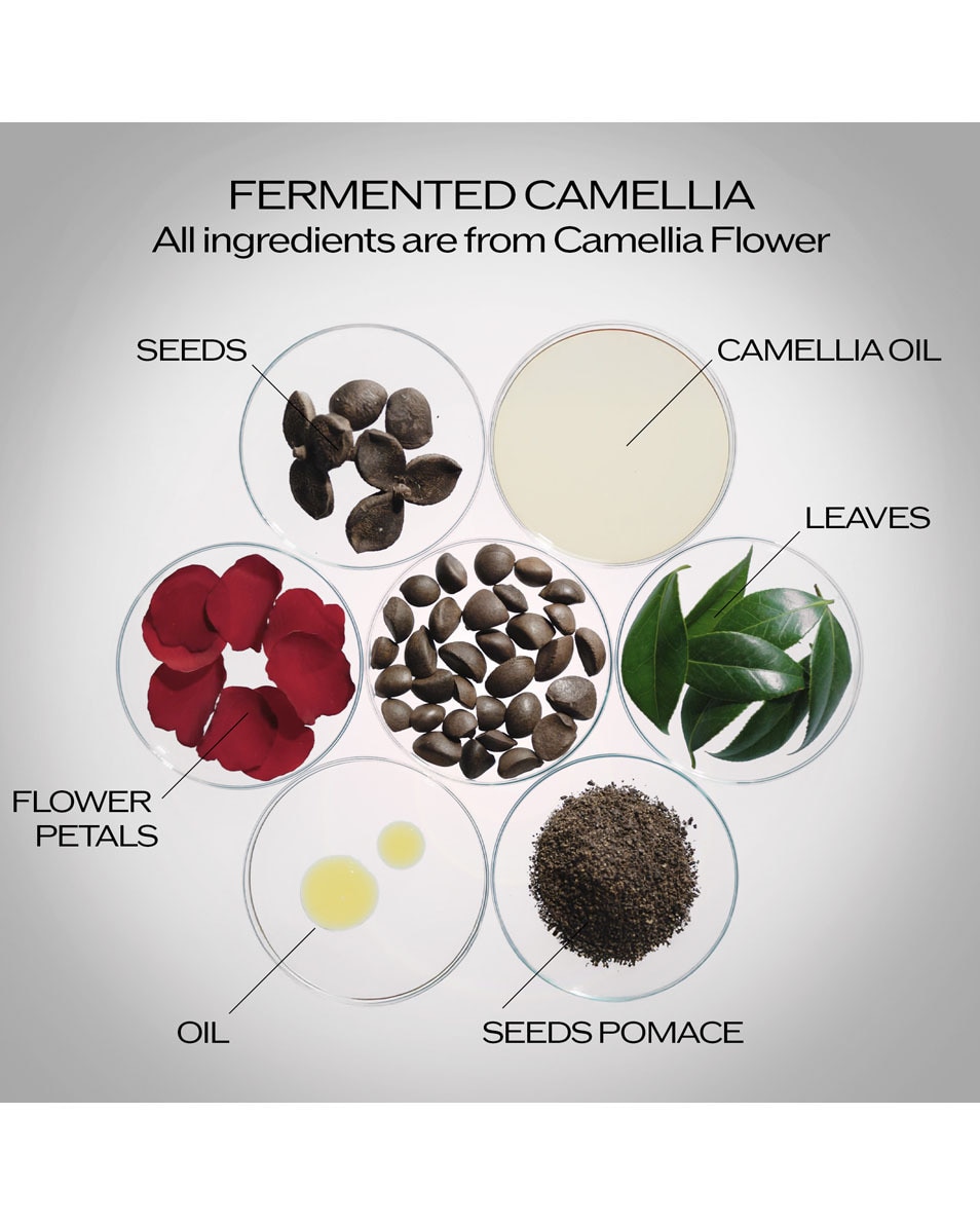 SHISEIDO Ultimune Sérum Activateur Énergisant Recharge 50 ML