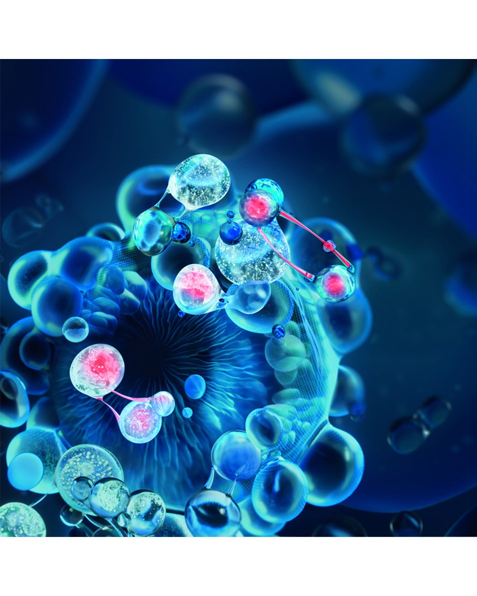 BIOTHERM Blue Peptides Reshaper Ogen En Lippen – Liftende En Sculpterende Werking 15 ML 4