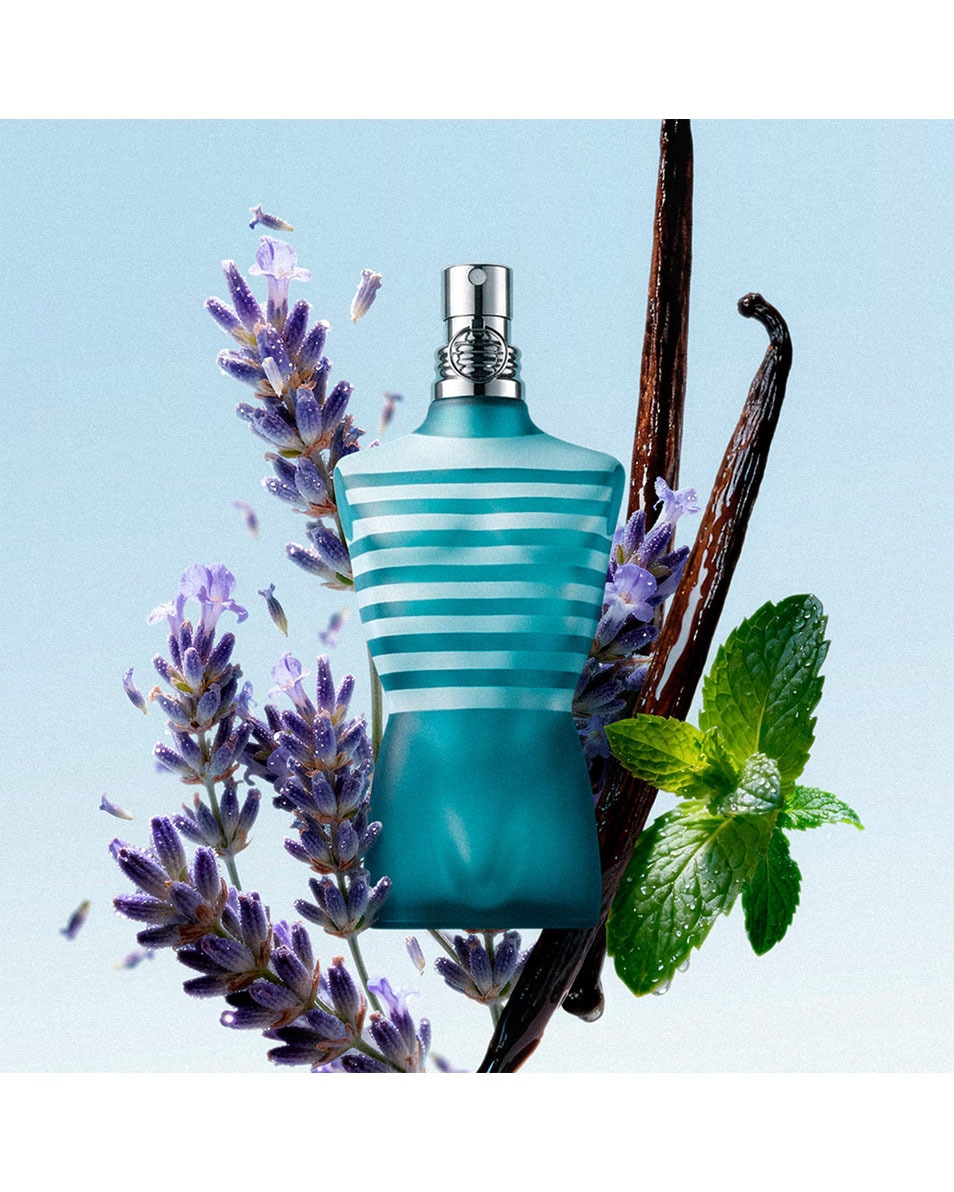JEAN PAUL GAULTIER Le Male Geschenkset Eau de Toilette 2 ST