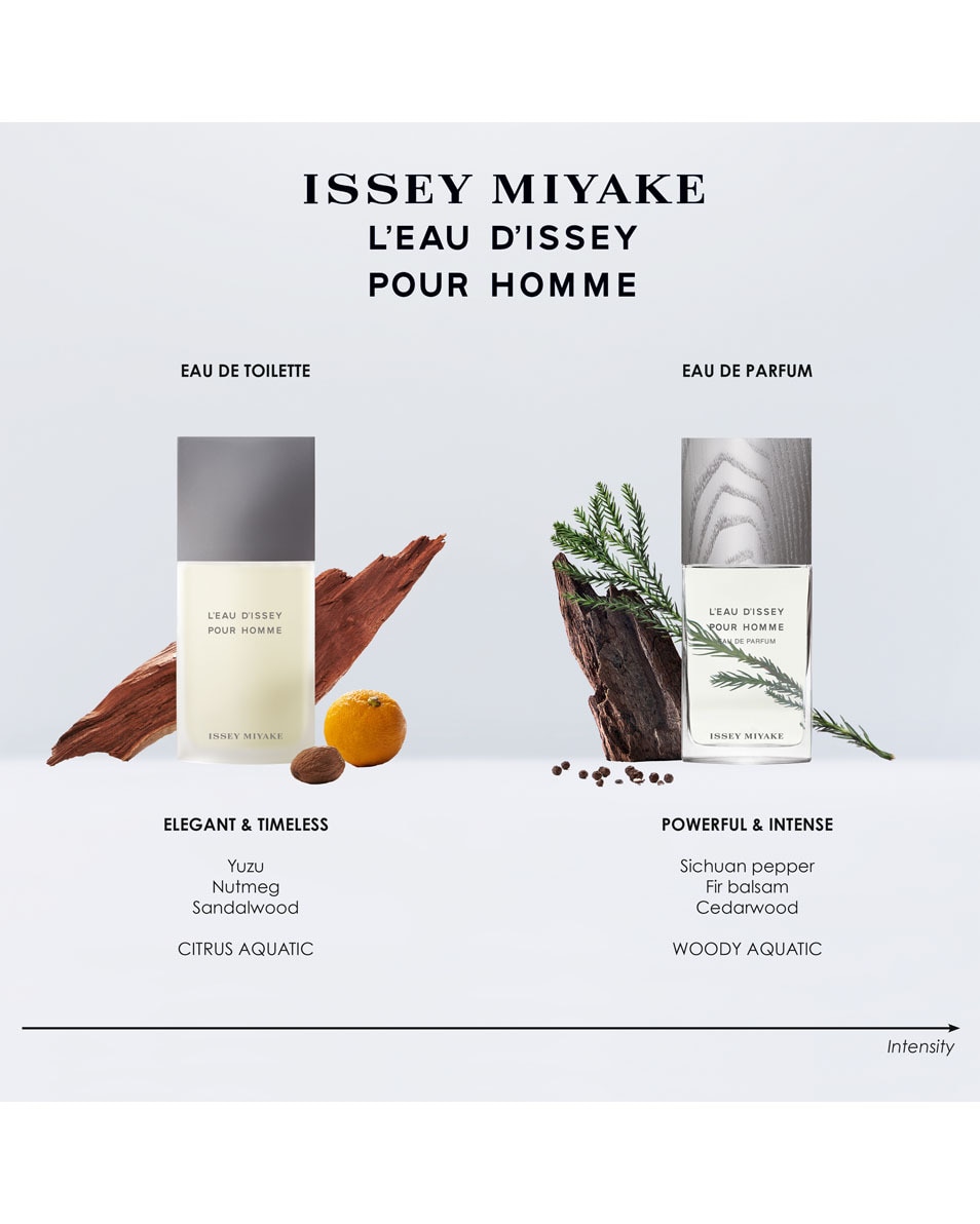 ISSEY MIYAKE L'EAU D'ISSEY POUR HOMME EAU DE TOILETTE SPRAY 200 ML 4