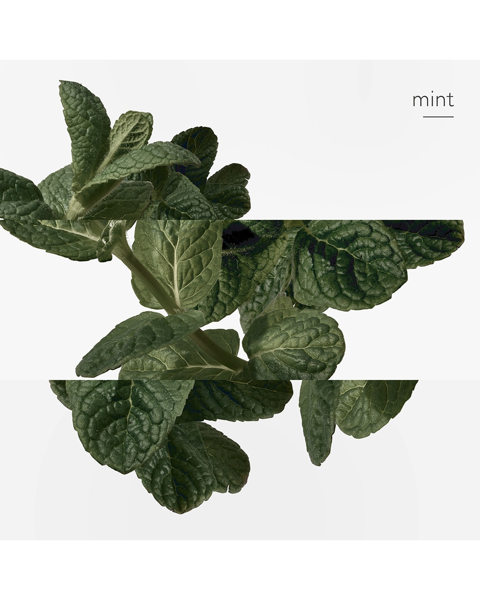 HERMÈS EAU D'ORANGE VERTE EAU DE COLOGNE 100 ML 4