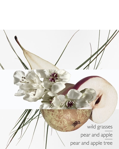 HERMÈS JARDIN SUR LE TOIT EAU DE TOILETTE 100 ML