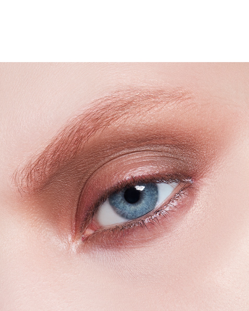 M.A.C MATTE EYE SHADOW OMBRE/FARD À PAUPIÈRES - LONGUE TENUE - UTILISATION SÈCHE OU HUMIDE Charcoal Brown 4