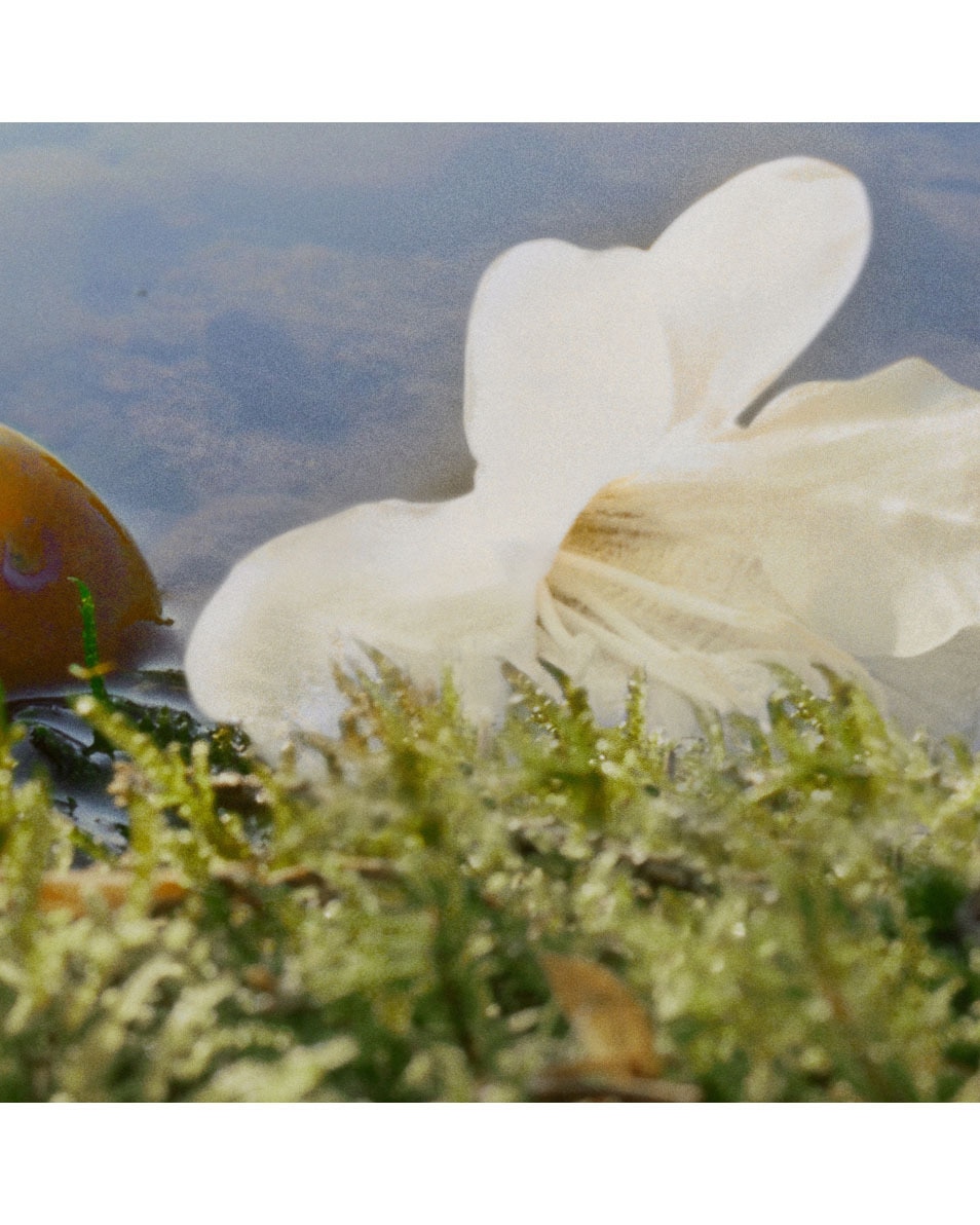 CHLOÉ NOMADE EAU DE PARFUM 75 ML 4