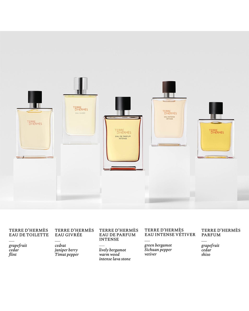 HERMÈS TERRE D'HERMÈS EAU INTENSE VÉTIVER EAU DE PARFUM 100 ML 4