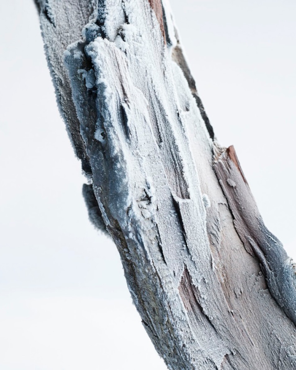 BVLGARI MAN GLACIAL ESSENCE EAU DE PARFUM 60 ML 5