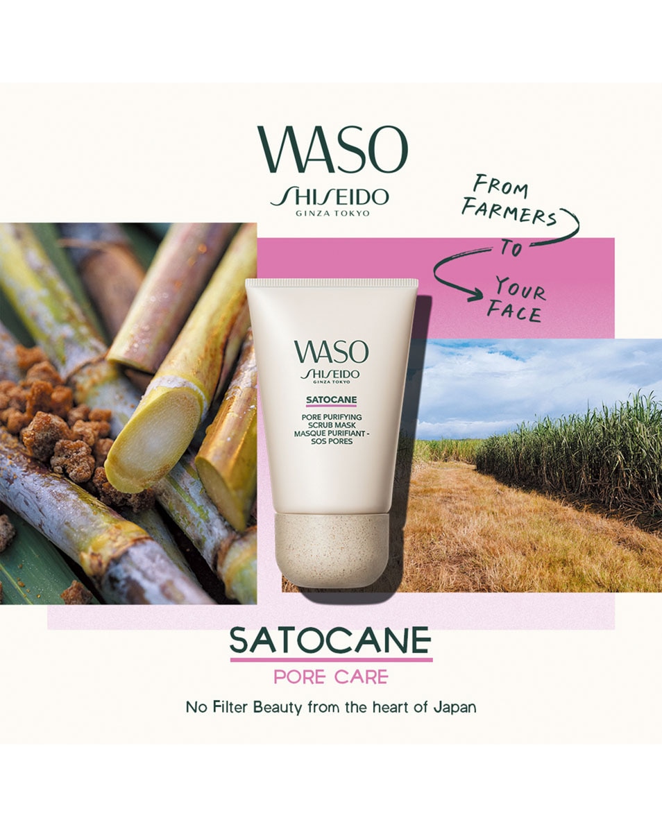 SATOCANE MASQUE PURIFIANT - SOS PORES