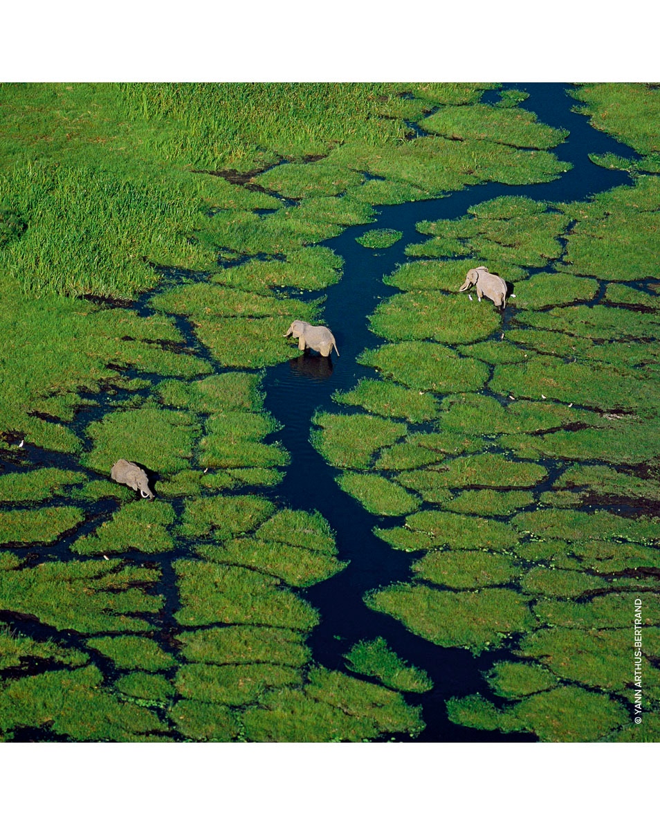 GRANADA SALVIA - EAU DE TOILETTE