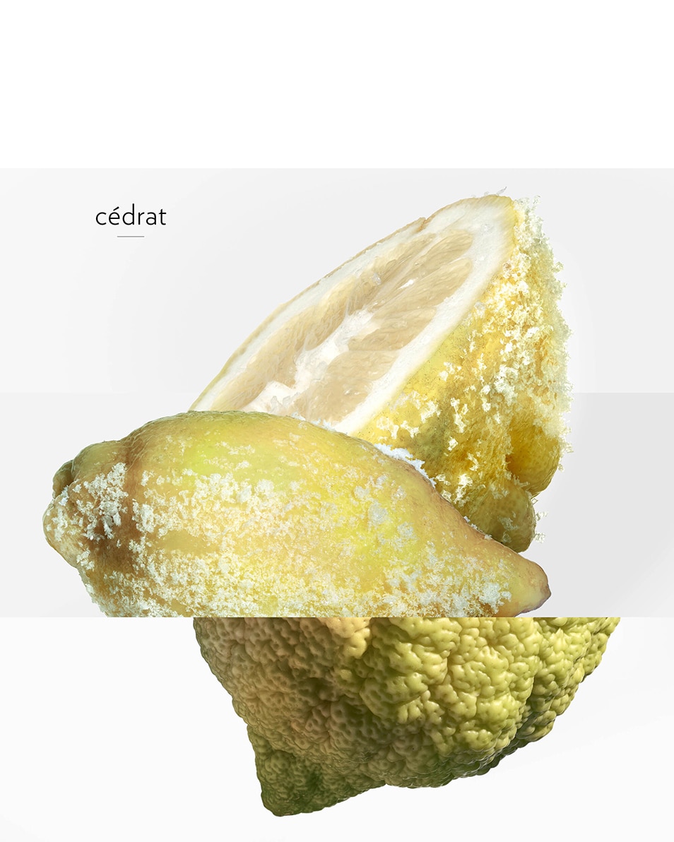 EAU GIVRÉE, EAU DE PARFUM