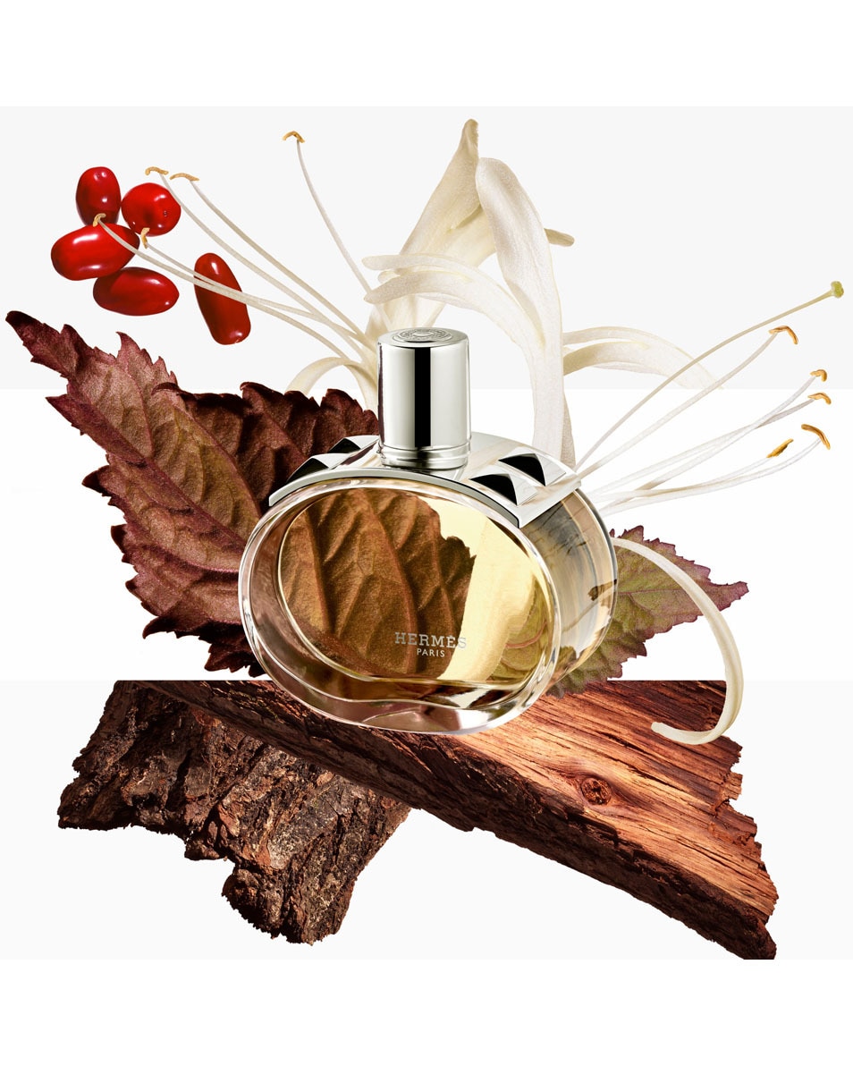 HERMÈS Barénia geparfumeerde haarmist 30 ML 5