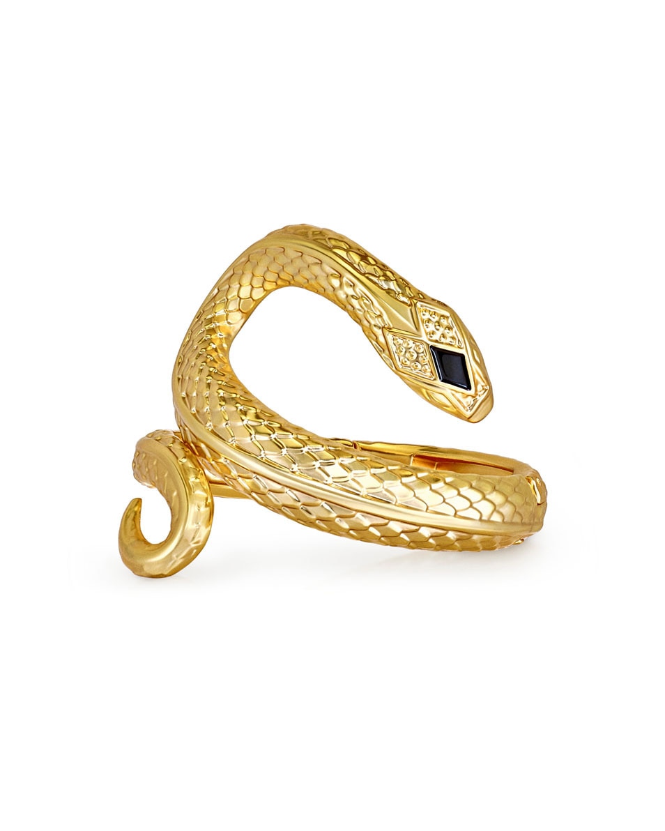 ROBERTO CAVALLI Serpentine Parfum 100 ML 5