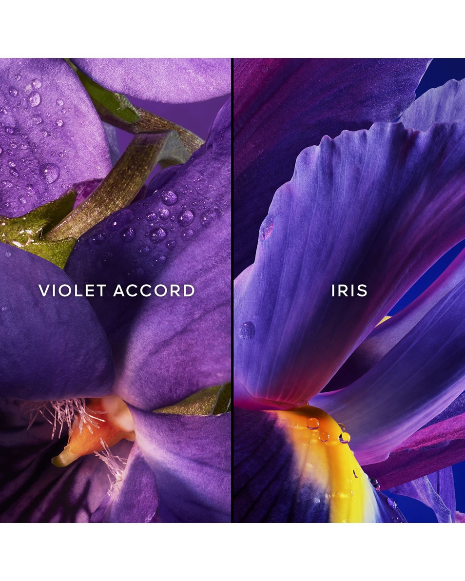 Insolence - Eau de Parfum cadeauset