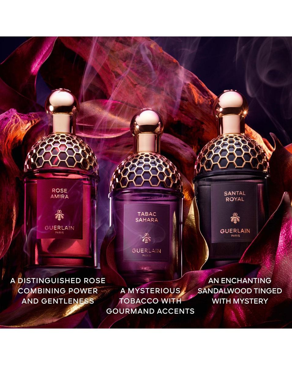 GUERLAIN Absolus Allegoria Tabac Sahara Eau de Parfum 75 ML 5