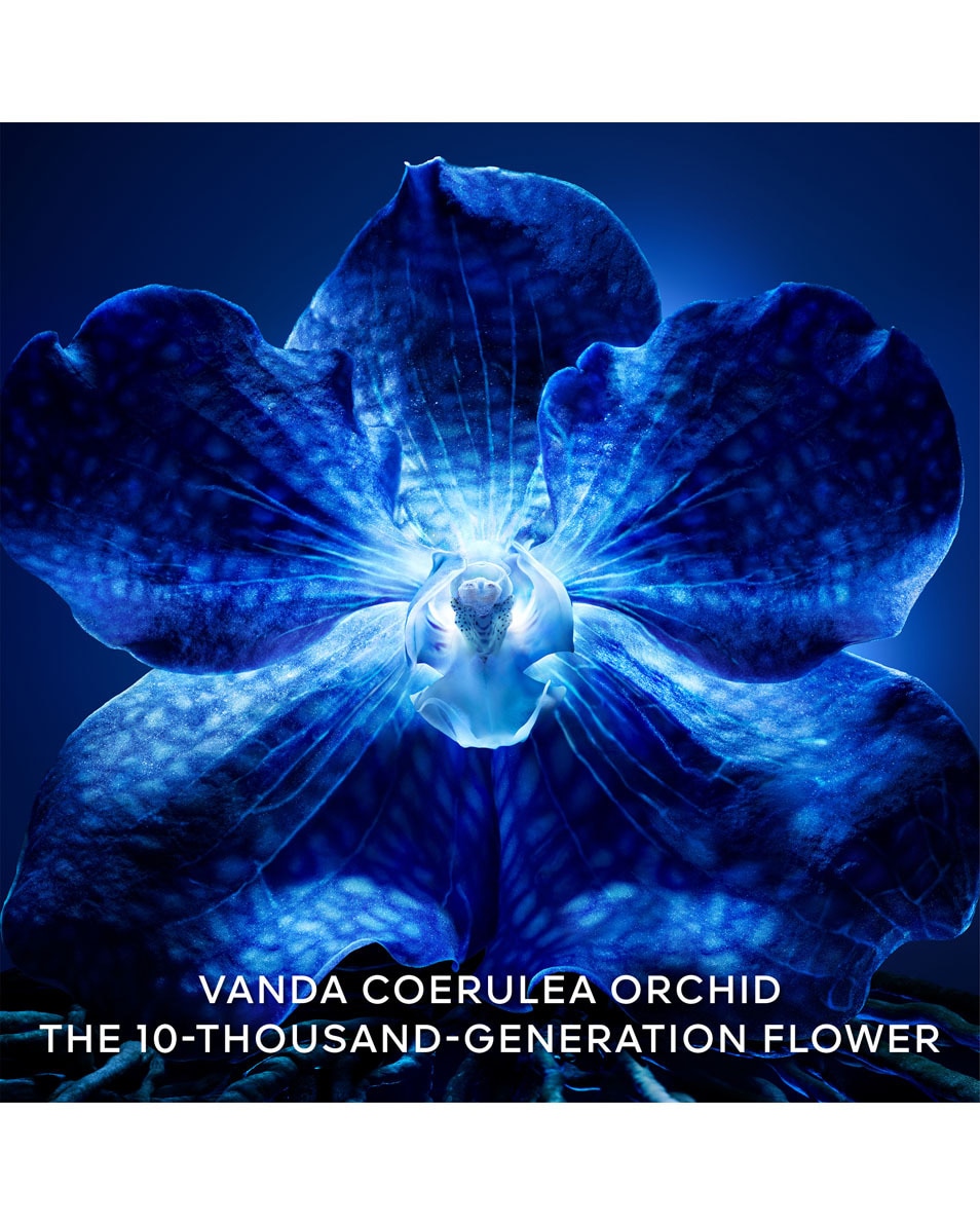 GUERLAIN ORCHIDÉE IMPÉRIALE LA CRÈME DE LONGÉVITÉ 30 ML 5