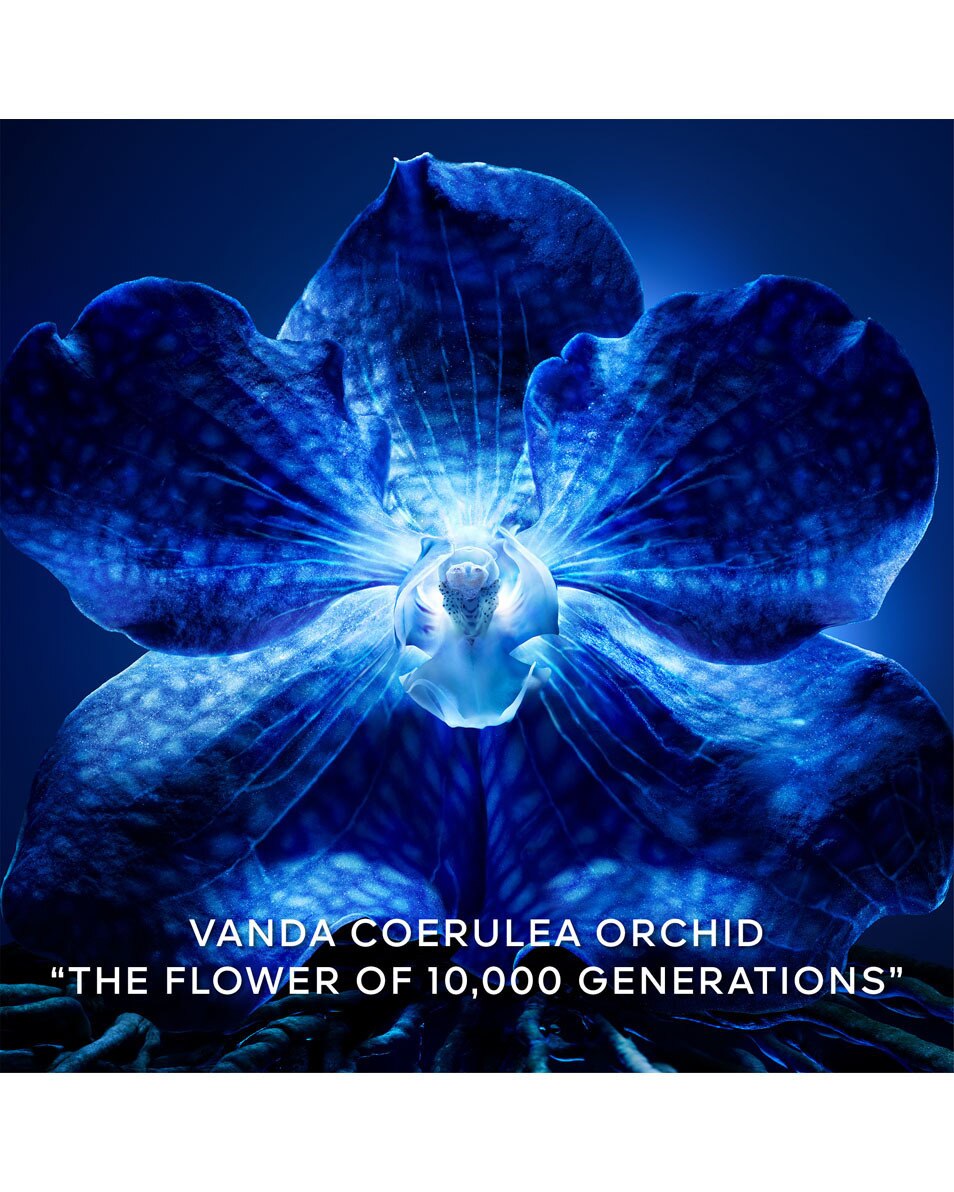 GUERLAIN Orchidée Impériale The Longevity Concentrate 30 ML 5