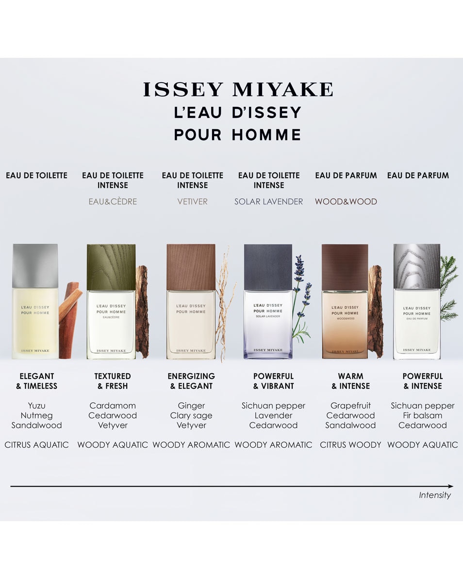 ISSEY MIYAKE L'EAU D'ISSEY POUR HOMME EAU DE TOILETTE SPRAY 125 ML 5