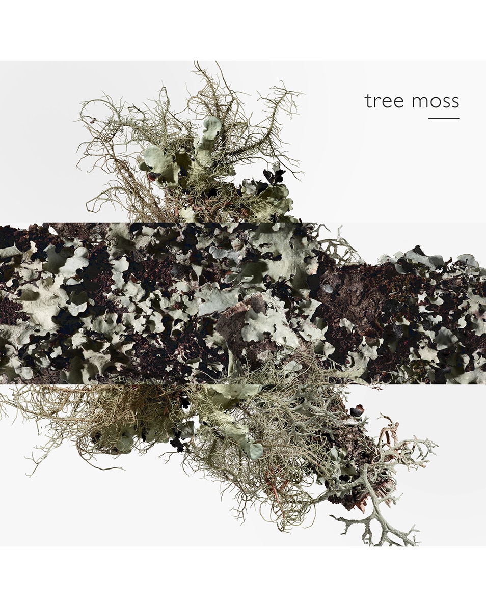 HERMÈS EAU D'ORANGE VERTE EAU DE COLOGNE 100 ML 5