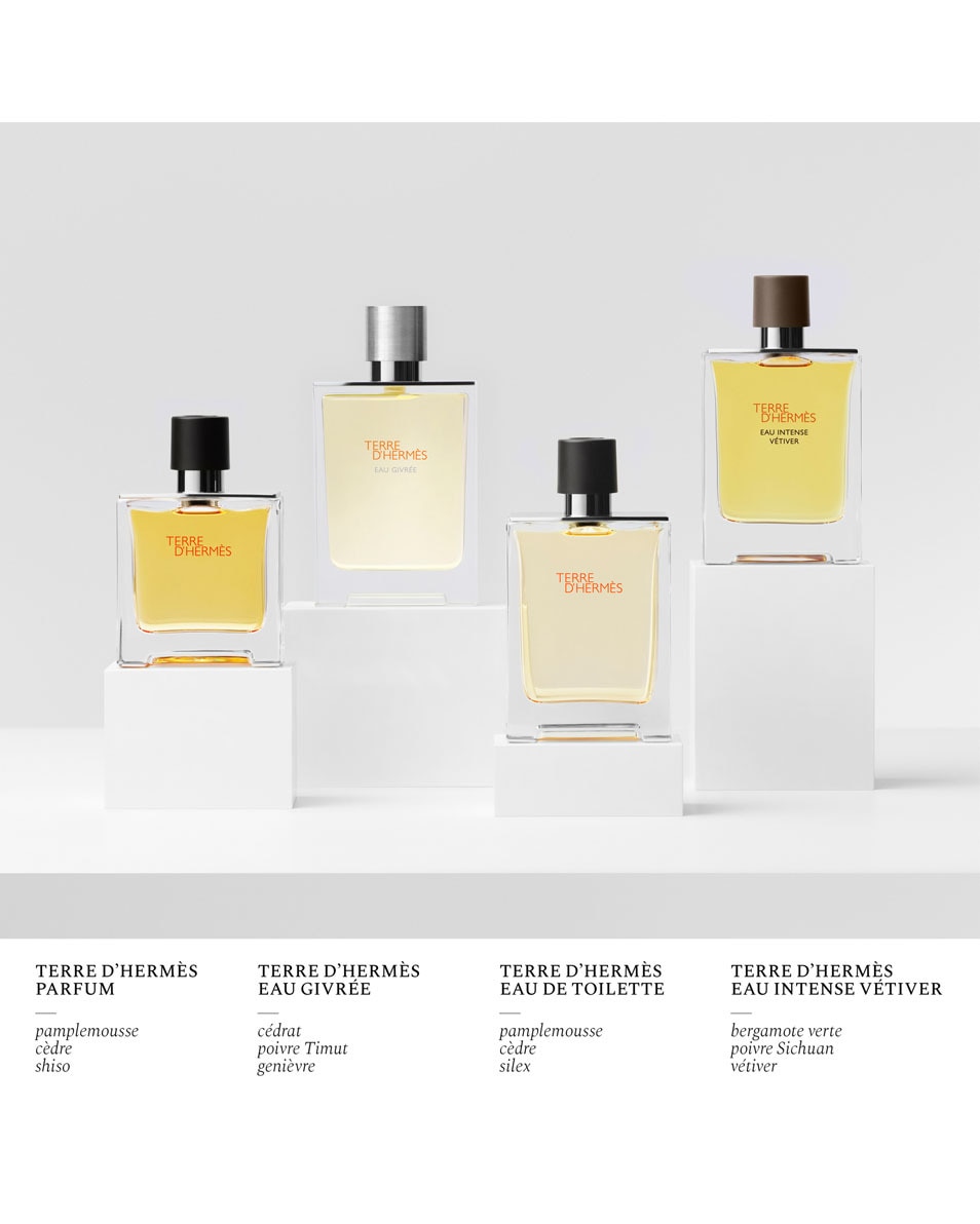 HERMÈS TERRE D'HERMÈS NAVULLING EAU DE TOILETTE 125 ML