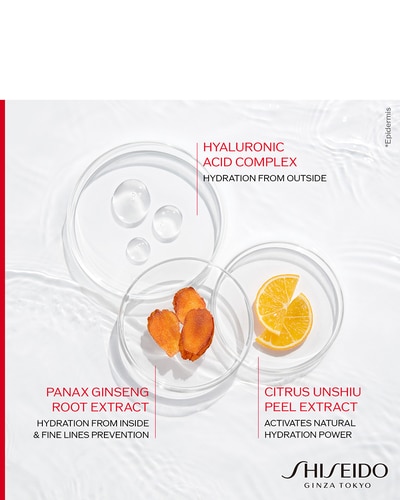 SHISEIDO ESSENTIAL ENERGY CRÈME HYDRATANTE RECHARGE 50 ML