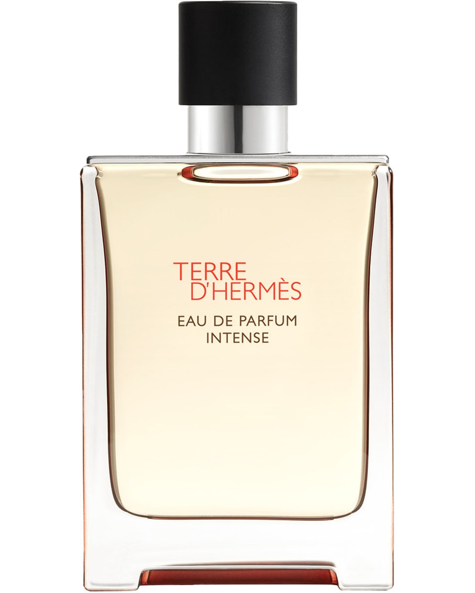 HERMÈS Terre d'Hermès Eau de Parfum Intense 100 ML