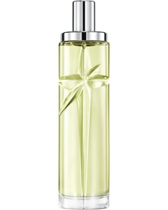 Pistachio Praline Eau de Toilette – Parfum gourmand boisé fruité pour femme Pistachio Praline Eau de Toilette – Parfum gourmand boisé fruité pour femme