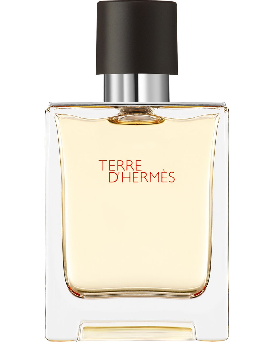 HERMÈS TERRE D'HERMÈS EAU DE TOILETTE VAPORISATEUR 50 ML