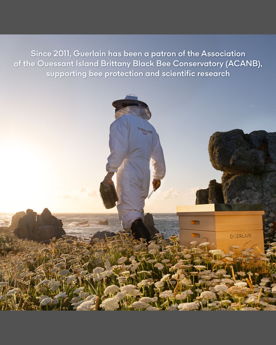 GUERLAIN ABEILLE ROYALE HONEY CATAPLASM MASK<br>DÉFROISSAGE IMMÉDIAT, LUMINOSITÉ INTENSE 4 ST 2