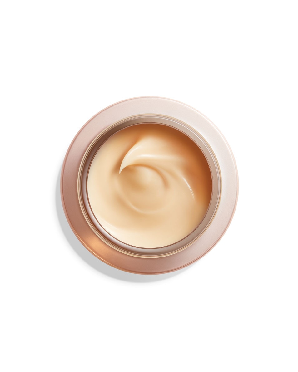 OVERNIGHT WRINKLE RESISTING CREAM