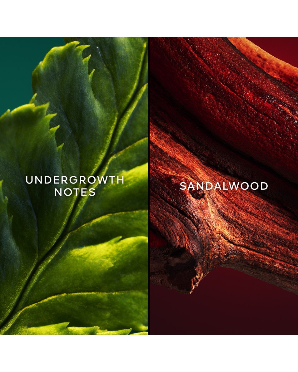 GUERLAIN CHANT D'AROMES EAU DE TOILETTE 75 ML 2