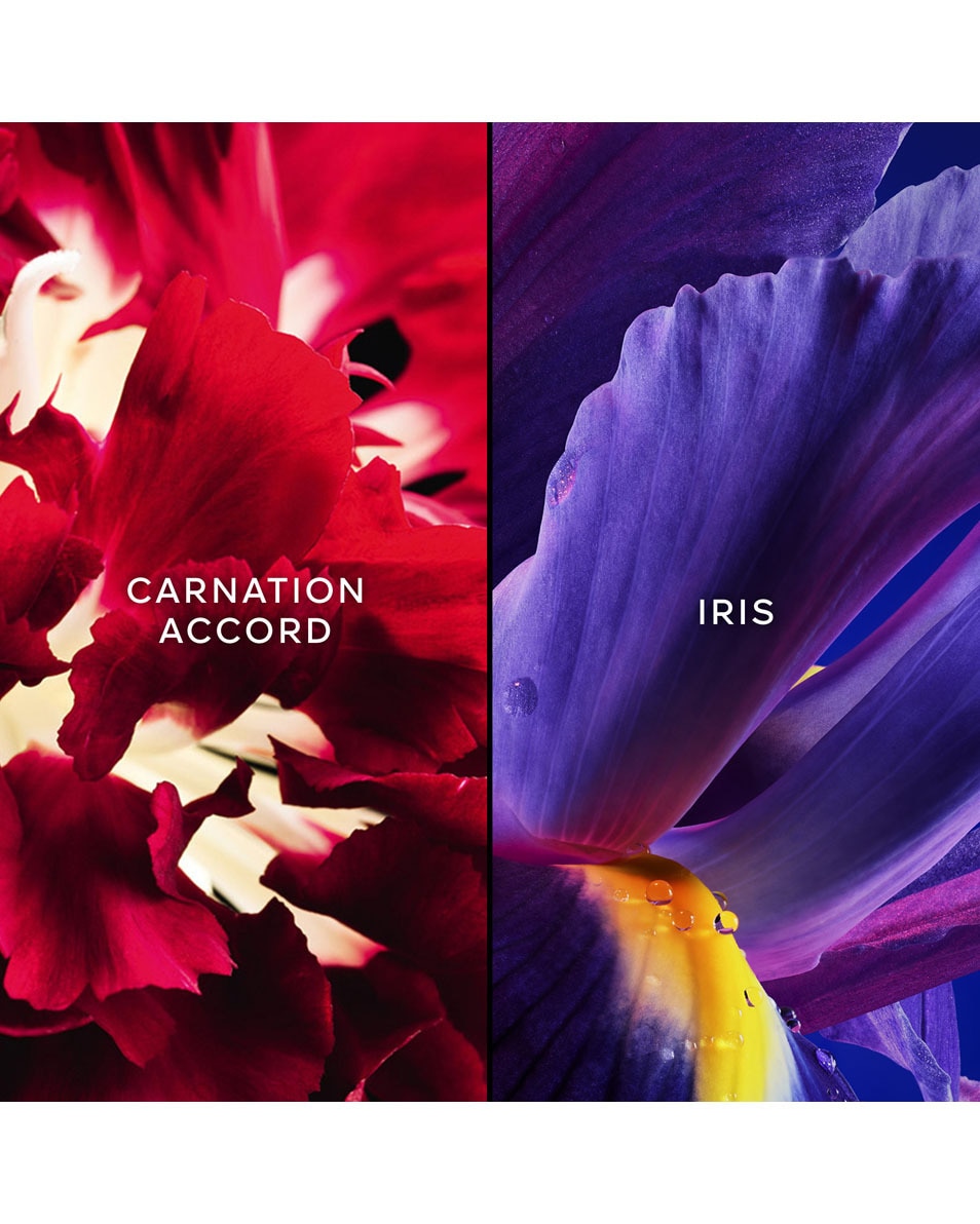 GUERLAIN APRES L'ONDEE EAU DE TOILETTE 75 ML 2