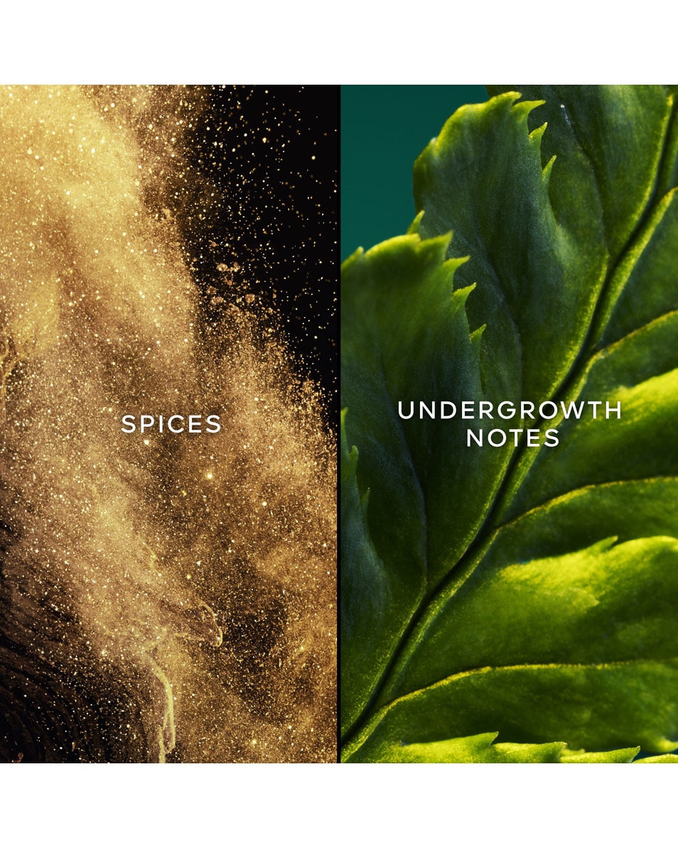 GUERLAIN VOL DE NUIT EAU DE TOILETTE 75 ML 2