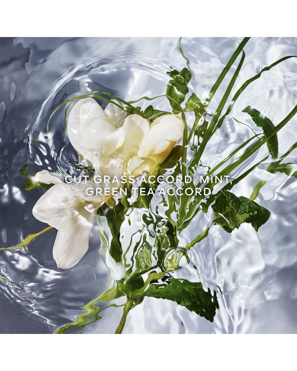 GUERLAIN AQUA ALLEGORIA HERBA FRESCA - RECHARGE EAU DE TOILETTE 200 ML 2