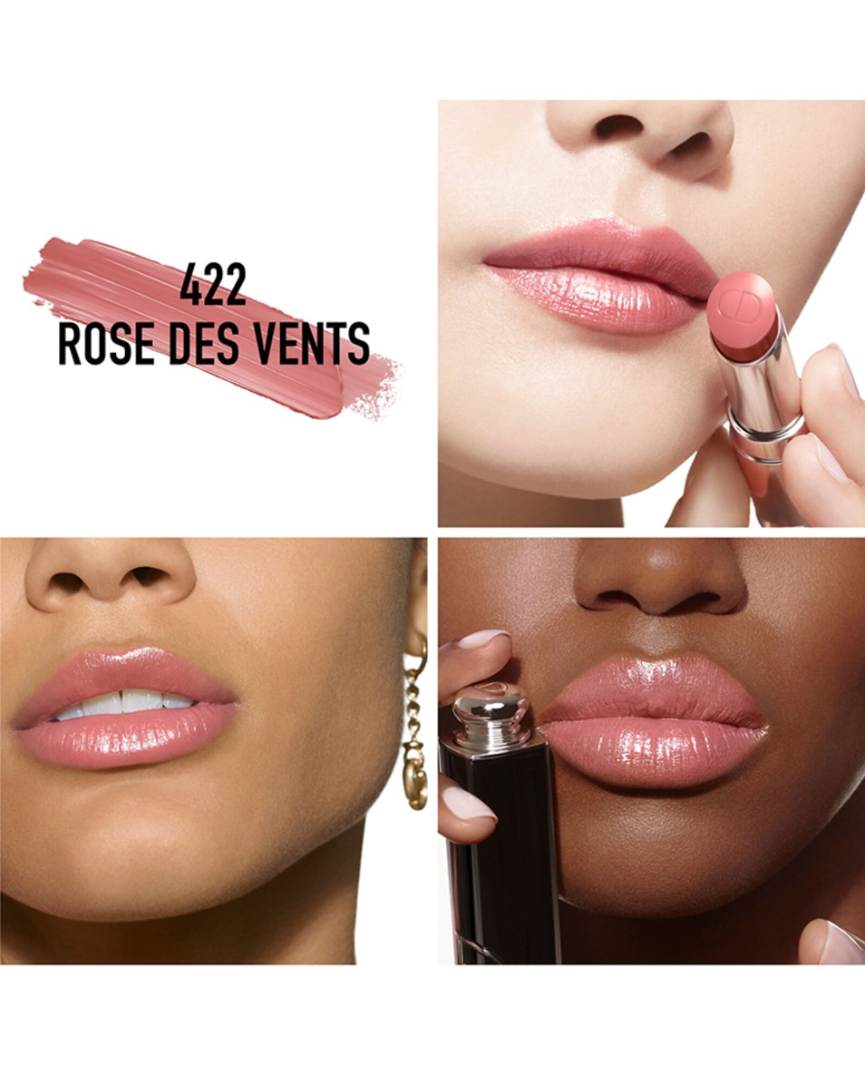 DIOR DIOR ADDICT HYDRATERENDE GLANZENDE LIPSTICK 422 Rose des Vents 2