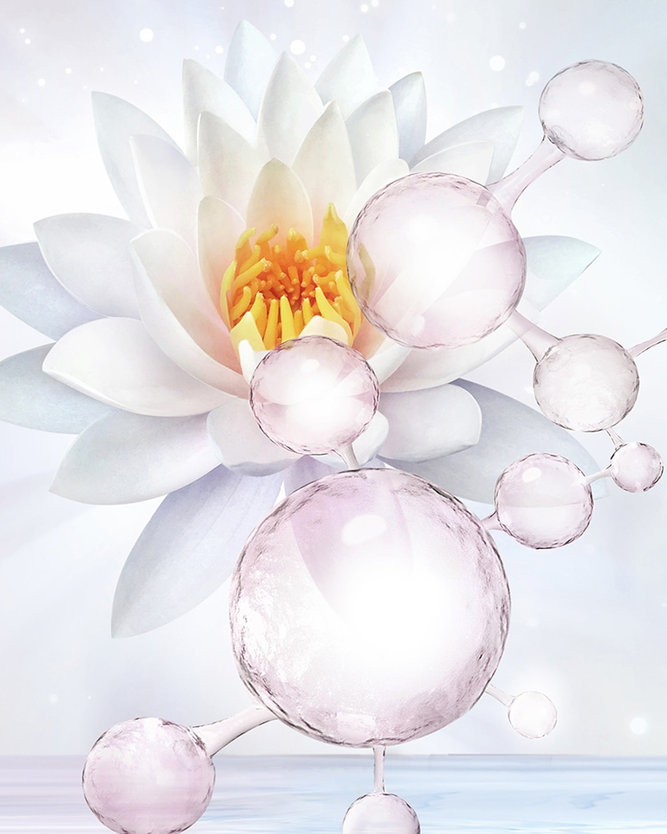 ESTÉE LAUDER PERFECTLY CLEAN INFUSION BALANCING ESSENCE LOTION WITH AMINO ACID15 + WATERLILY WITH AMINO ACID15 + WATERLILY HYDRATERENDE TONER - VOOR NORMALE/GECOMBINEERDE HUID 400 ML 2