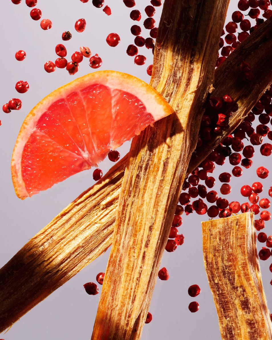 ANTI-TRANSPIRANT STICK