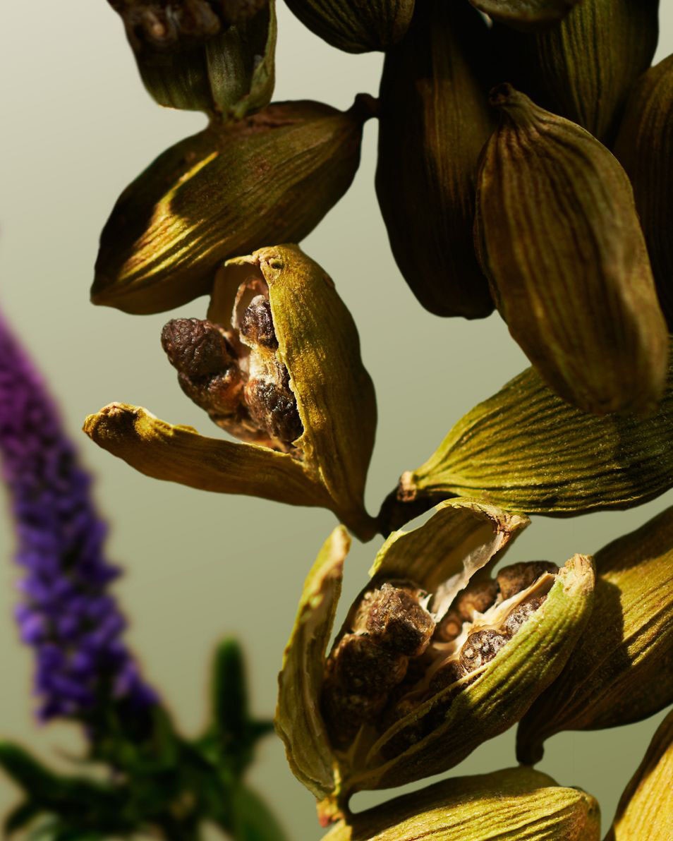 TRAVEL EAU DE PARFUM